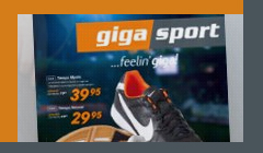 partnerji_giga_sport