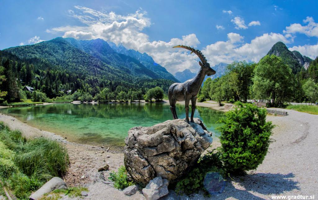 Vabilo na družabno srečanje v Kranjsko Goro 2018