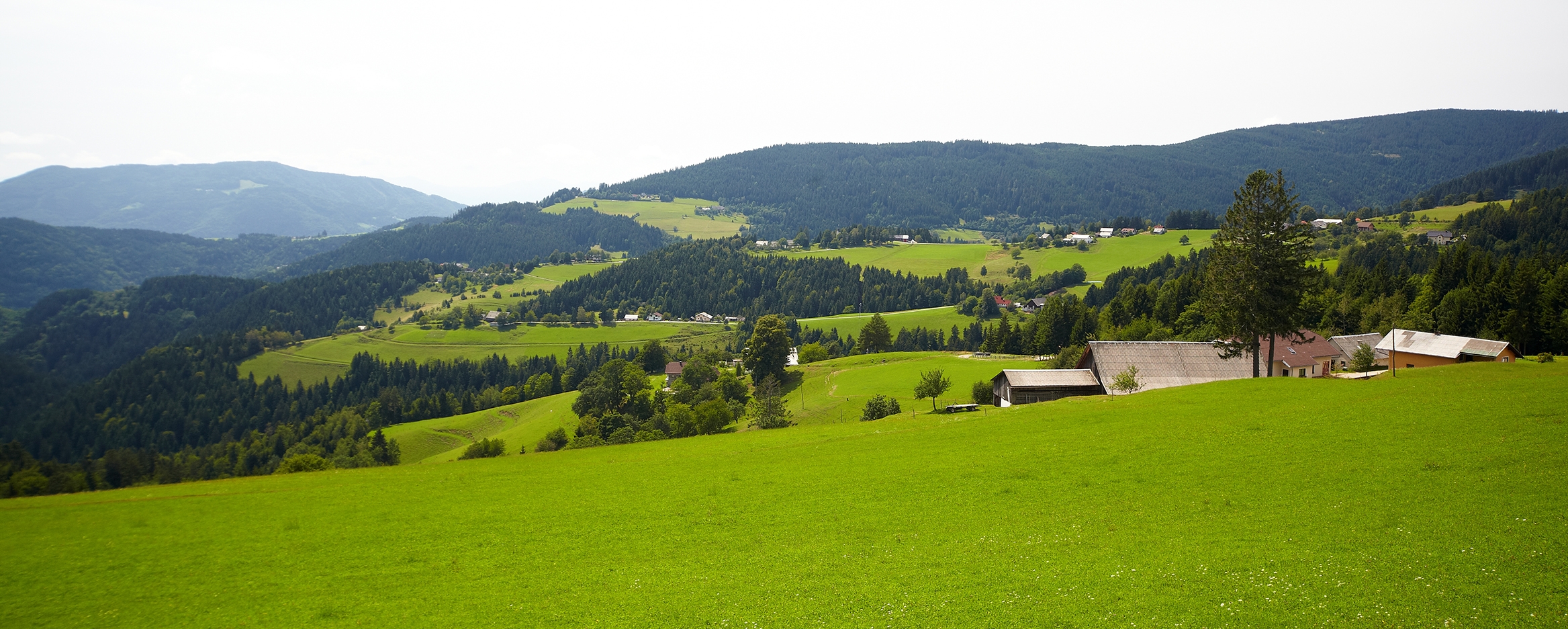 Občutite jesen na zreškem pohorju