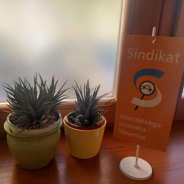 SEZNANITEV s kandidaturami za predsednika OO in NO OO Zidani Most